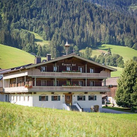 Appartment Thumerhof Wildschoenau Niederau Kültér fotó