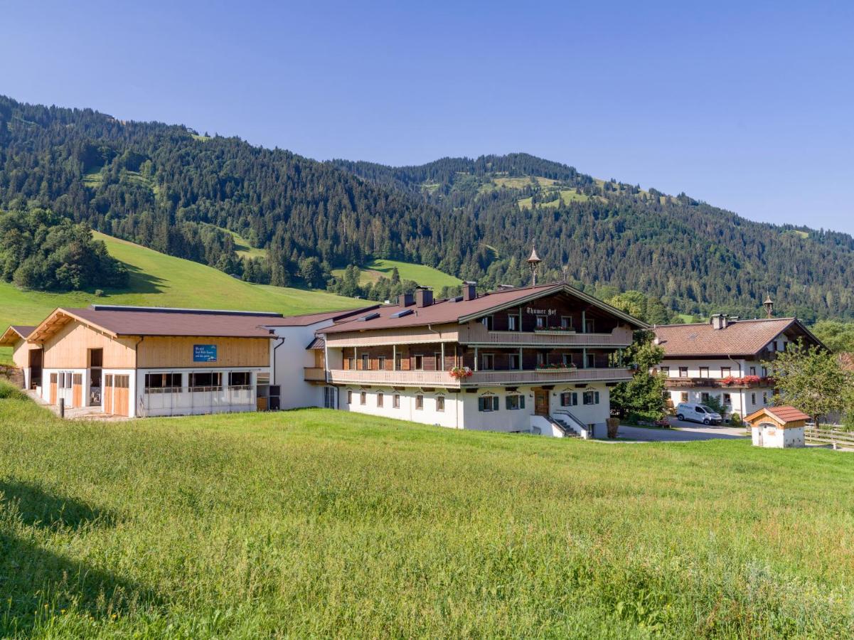 Appartment Thumerhof Wildschoenau Niederau Kültér fotó